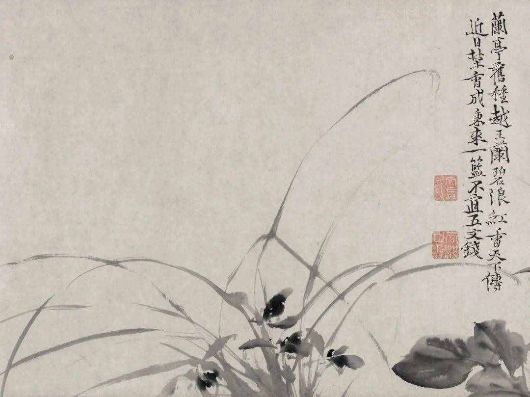 徐渭的墨花，這才叫玩水墨