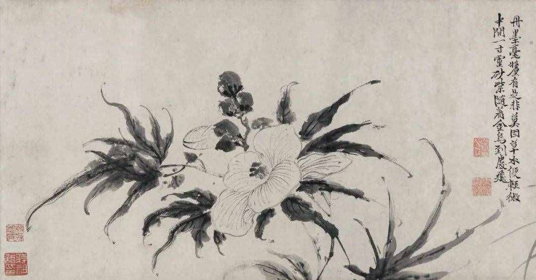 徐渭的墨花，這才叫玩水墨