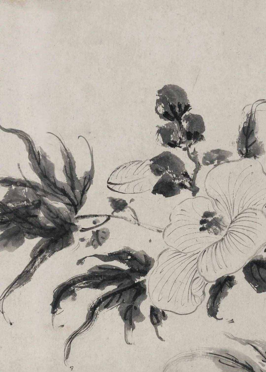 徐渭的墨花，這才叫玩水墨