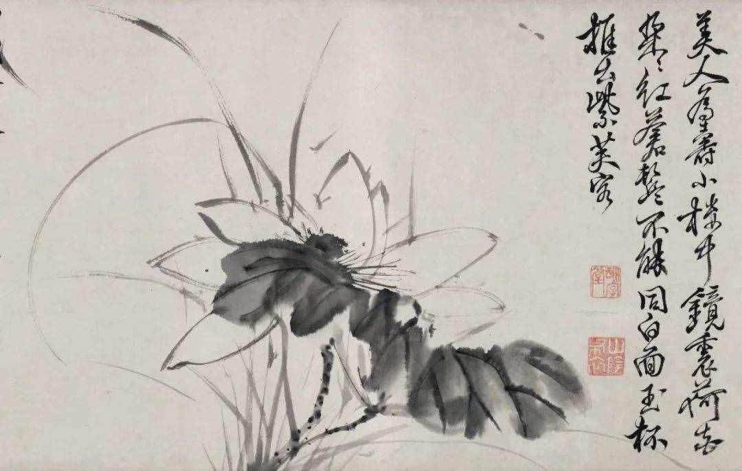 徐渭的墨花，這才叫玩水墨