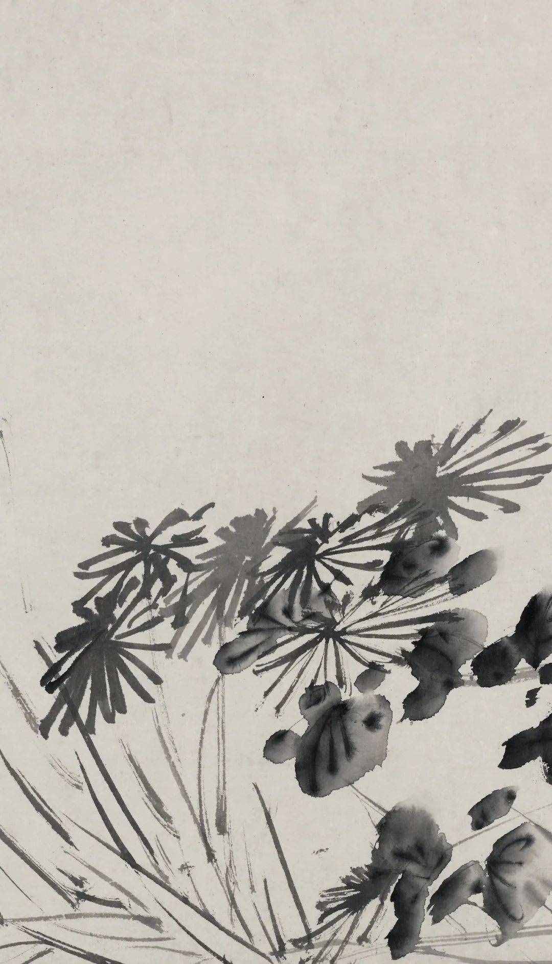 徐渭的墨花，這才叫玩水墨