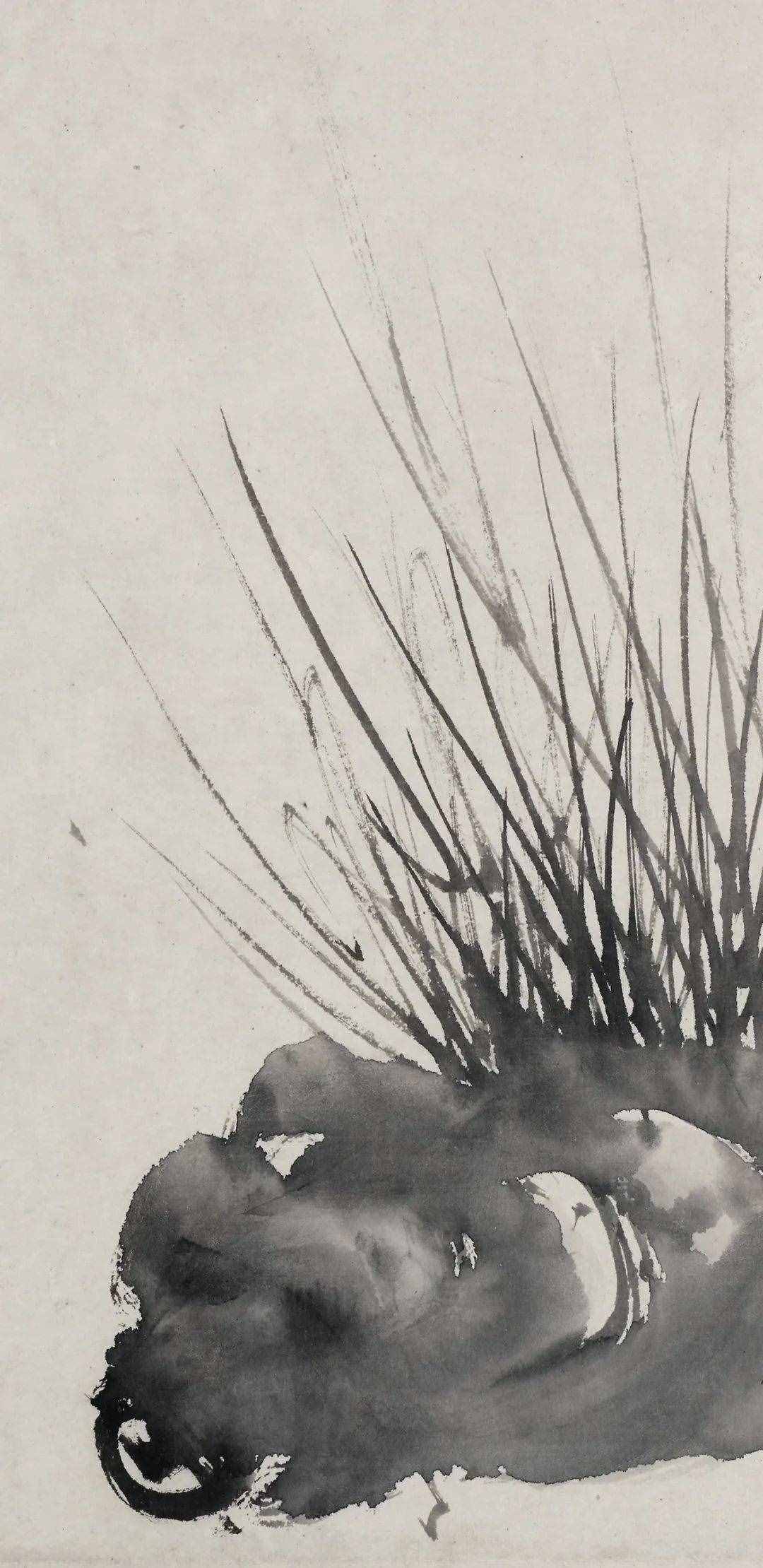 徐渭的墨花，這才叫玩水墨