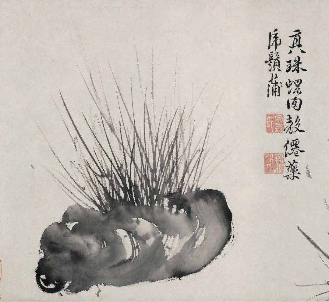 徐渭的墨花，這才叫玩水墨