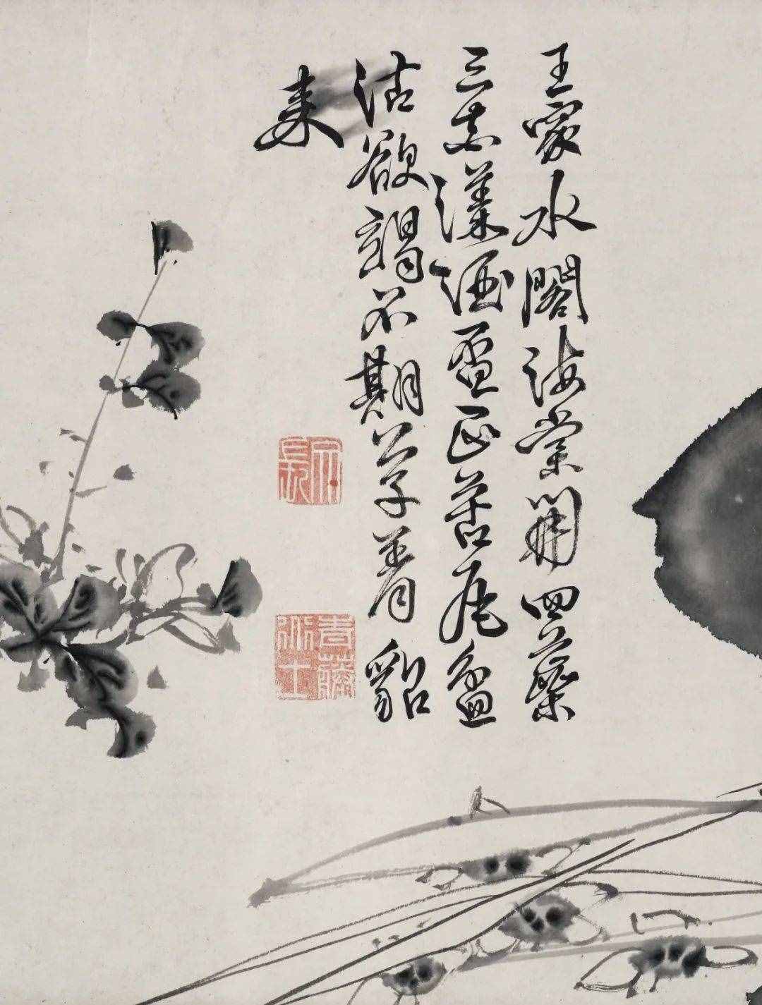 徐渭的墨花，這才叫玩水墨