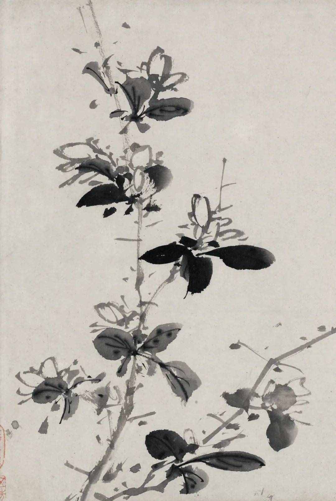 徐渭的墨花，這才叫玩水墨