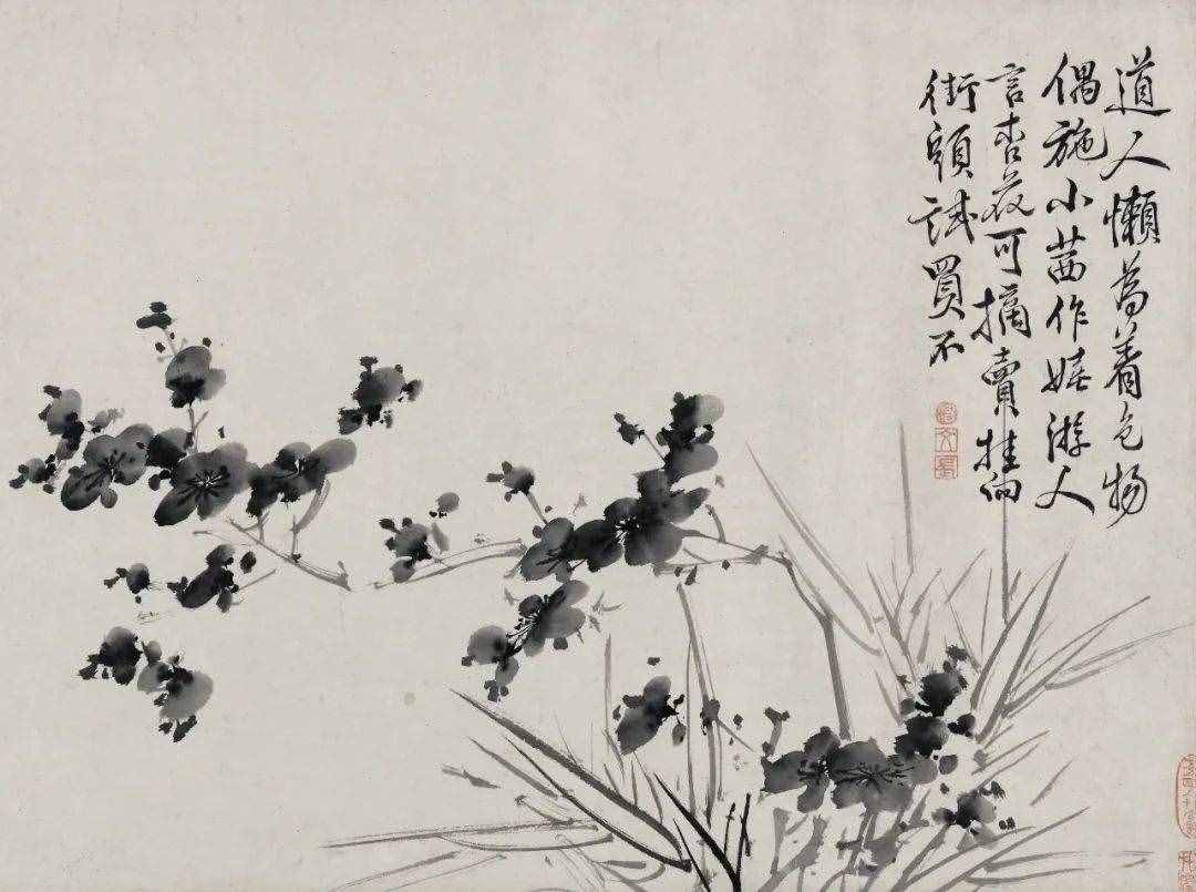 徐渭的墨花，這才叫玩水墨