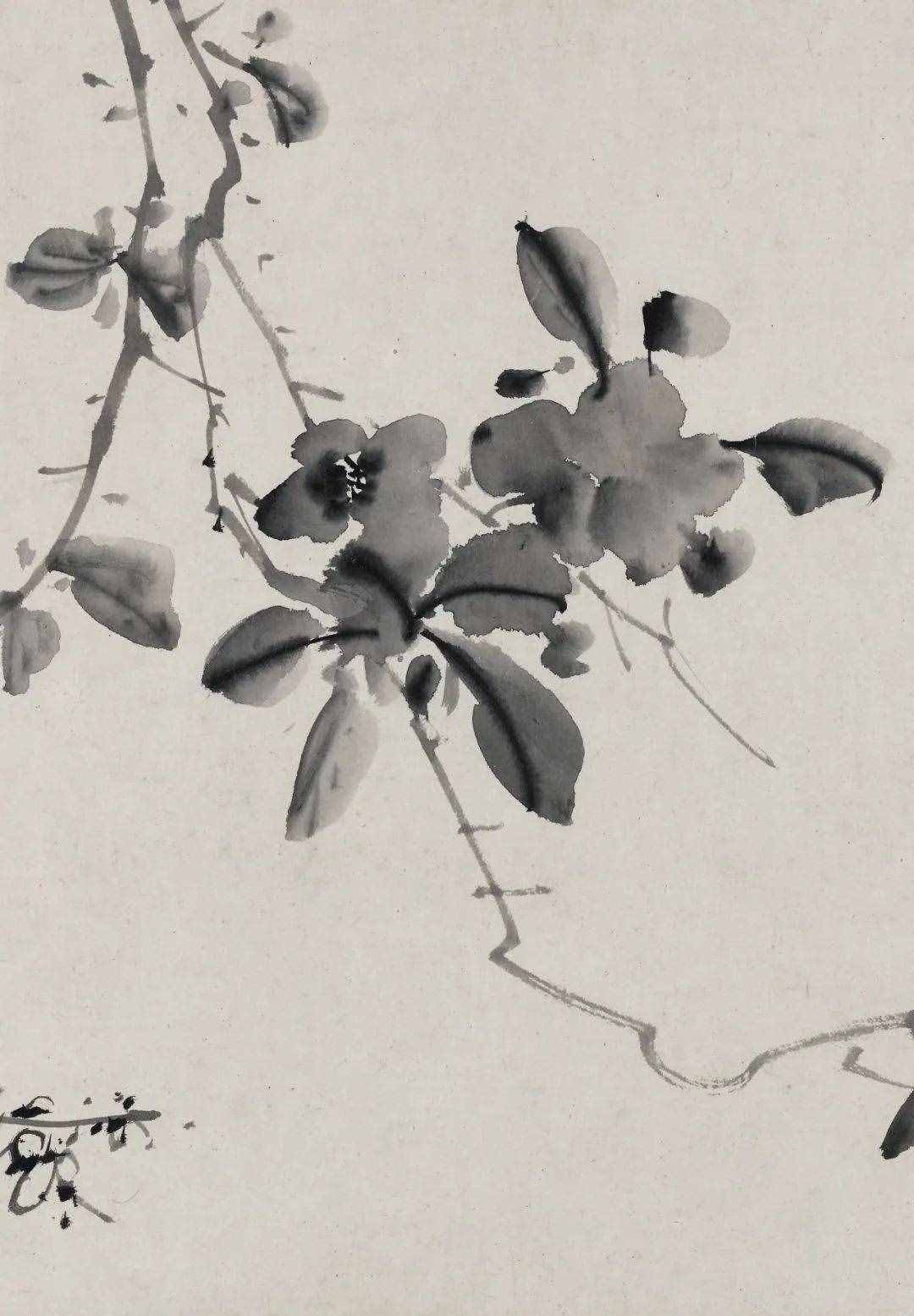 徐渭的墨花，這才叫玩水墨