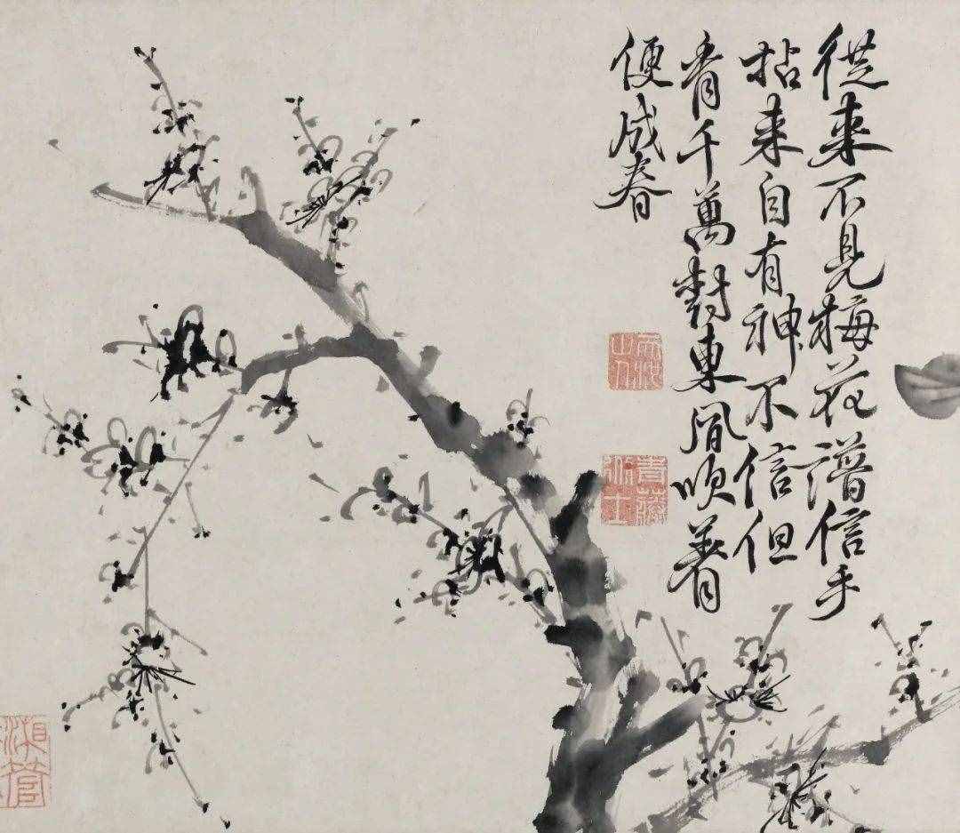 徐渭的墨花，這才叫玩水墨