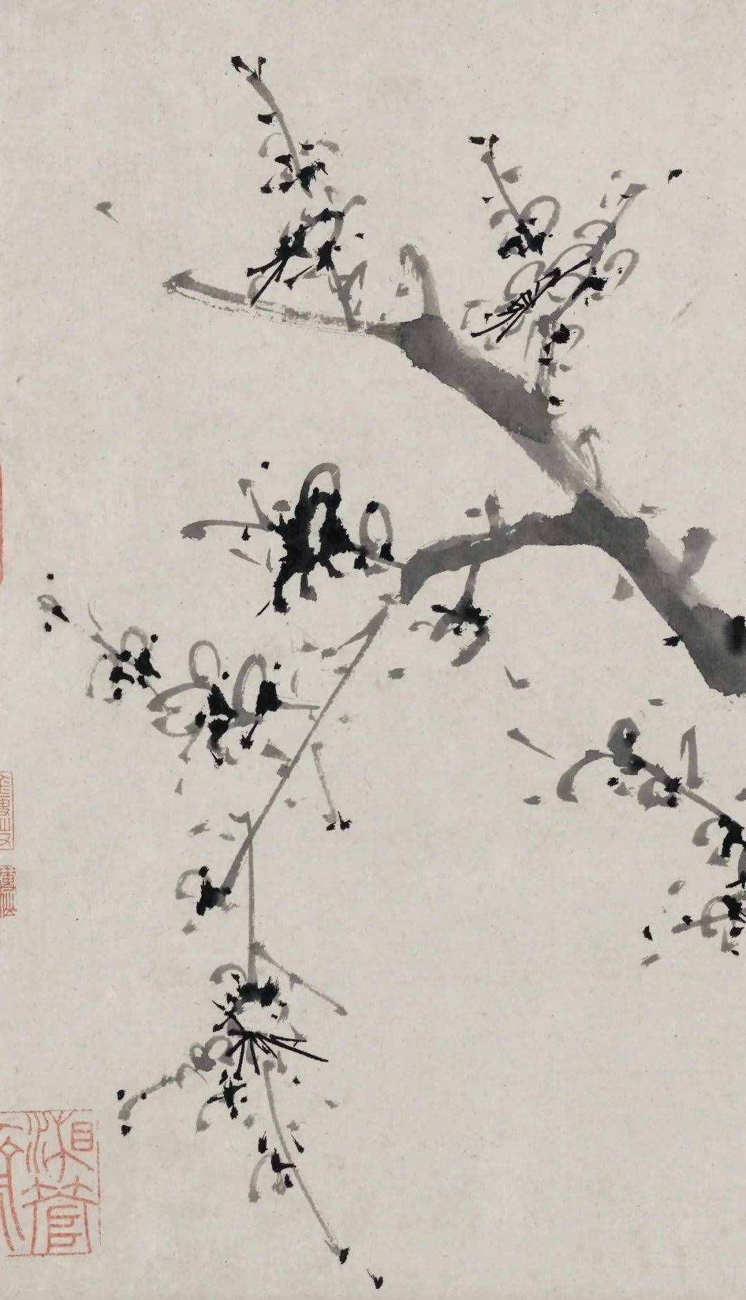 徐渭的墨花，這才叫玩水墨