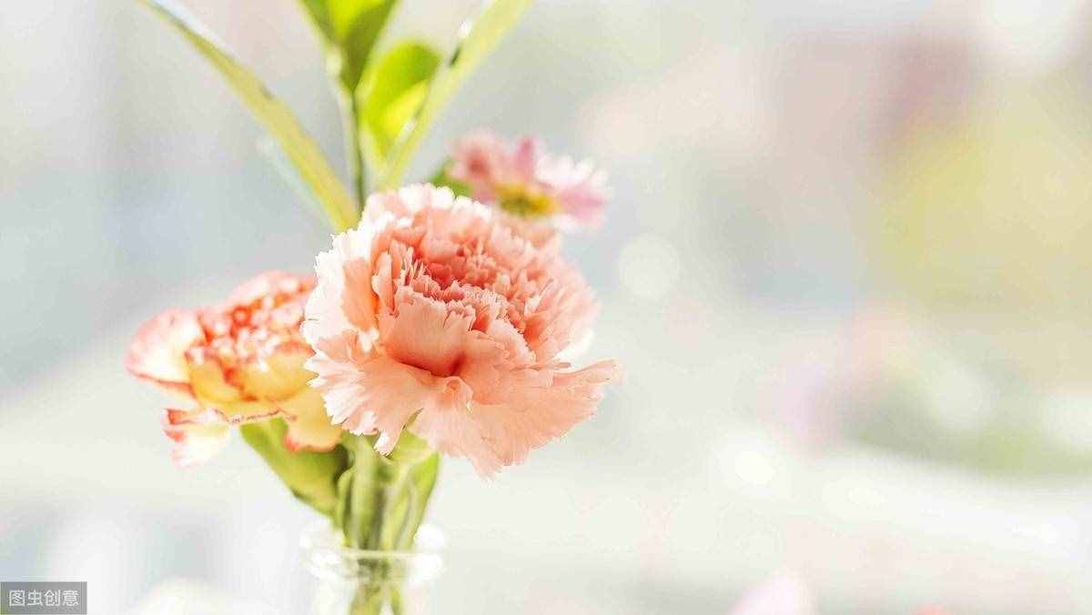想說(shuō)愛(ài)你，卻只能在心里 （傷感愛(ài)情美文欣賞）
