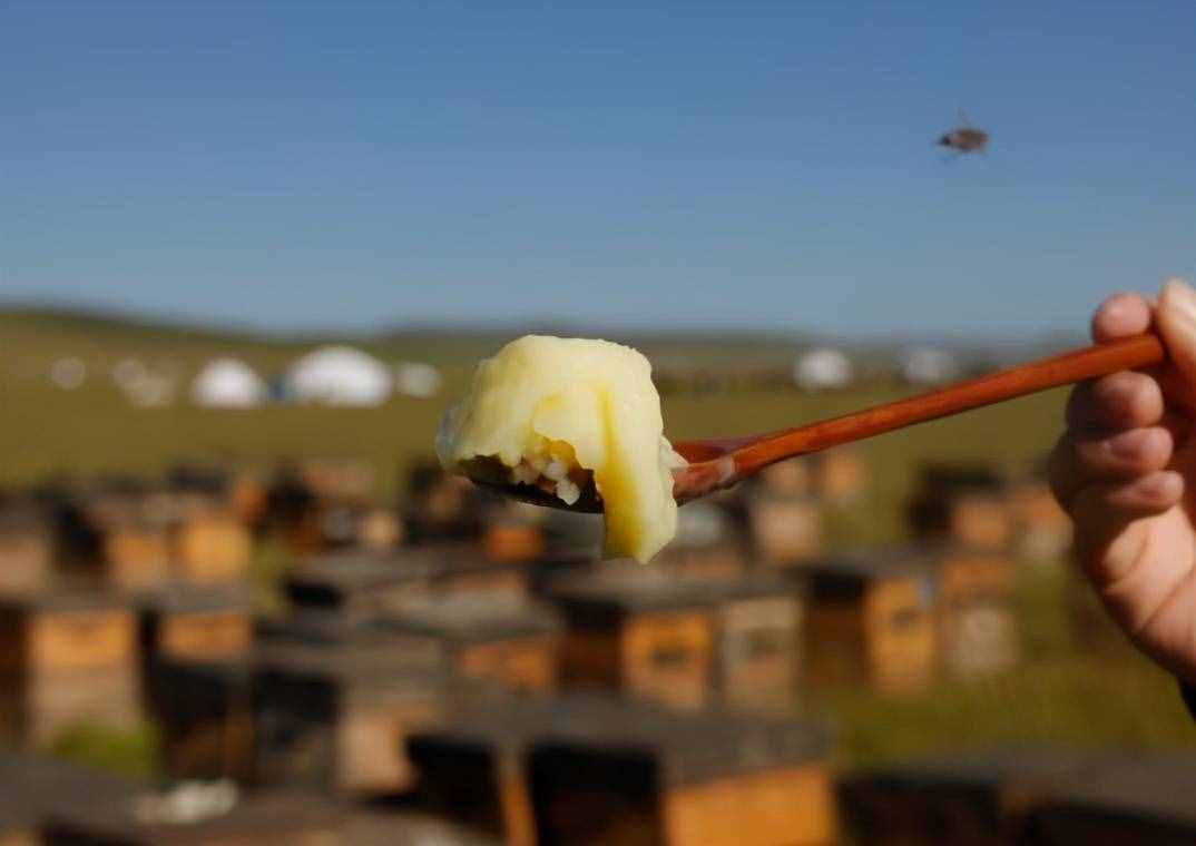 蜂王漿不能和什么同食？蜂王漿跟什么不能一起吃？