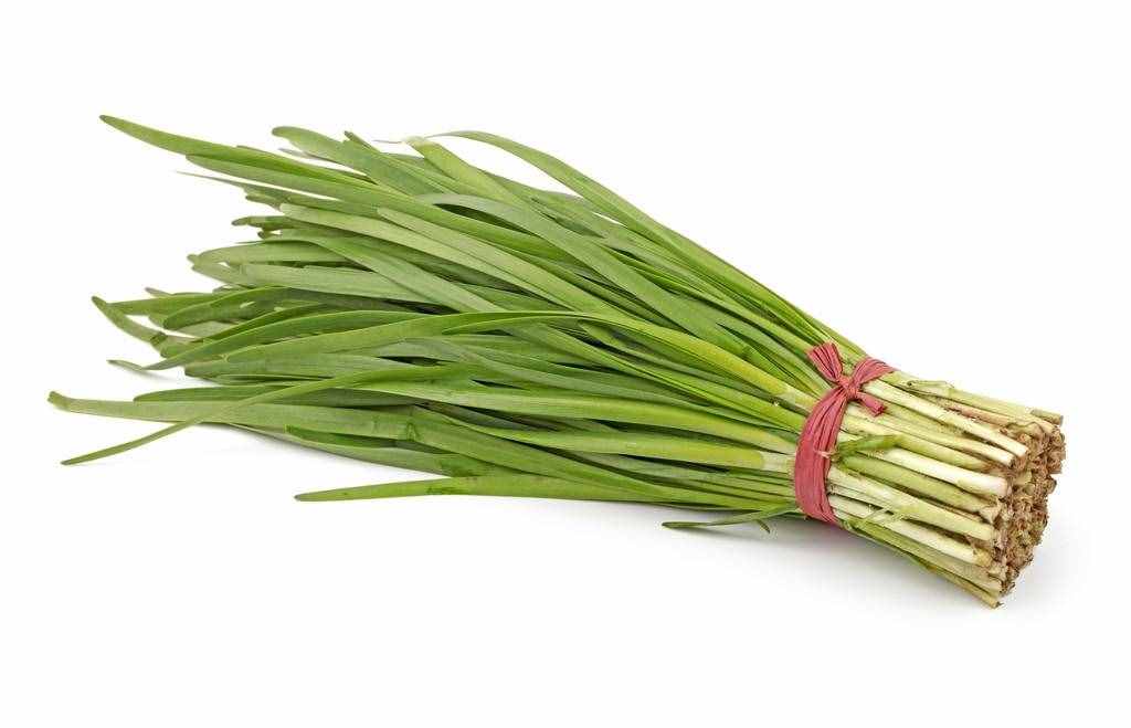 大棚種植韭菜，冬季高產(chǎn)管理方案