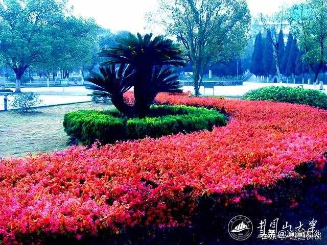 井岡山大學(xué)，名字夠響亮，實(shí)力如何呢？
