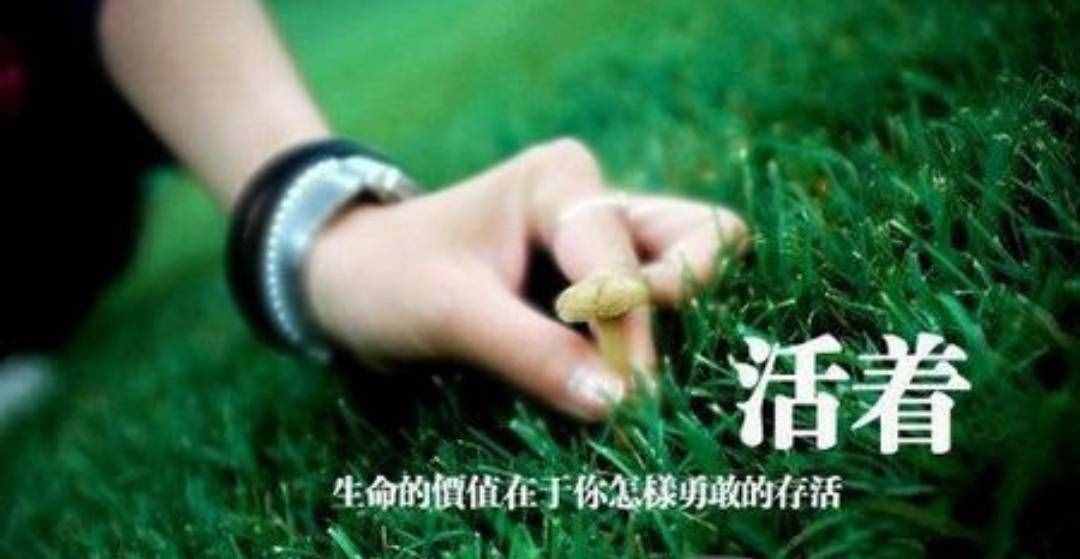 周?chē)?guó)平：生命本來(lái)沒(méi)有名字
