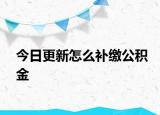 今日更新怎么補(bǔ)繳公積金