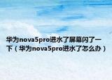 華為nova5pro進水了屏幕閃了一下（華為nova5pro進水了怎么辦）