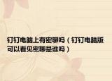 釘釘電腦上有密聊嗎（釘釘電腦版可以看見密聊是誰嗎）
