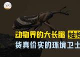 今日更新蚰蜒怎么讀(家里蚰蜒怎么來的)