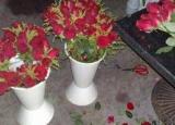 今日更新玫瑰花怎么包裝（玫瑰花的包法大全圖解 ）