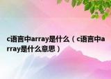 c語(yǔ)言中array是什么（c語(yǔ)言中array是什么意思）