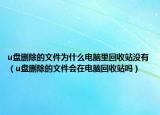 u盤刪除的文件為什么電腦里回收站沒(méi)有（u盤刪除的文件會(huì)在電腦回收站嗎）