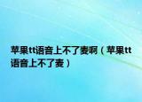 蘋果tt語(yǔ)音上不了麥?。ㄌO果tt語(yǔ)音上不了麥）
