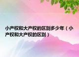 小產權和大產權的區(qū)別多少年（小產權和大產權的區(qū)別）