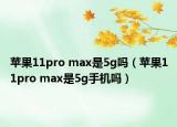 蘋果11pro max是5g嗎（蘋果11pro max是5g手機嗎）