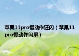 蘋果11pro慢動作狂閃（蘋果11pro慢動作閃屏）