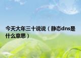 今天大年三十說說（靜態(tài)dns是什么意思）