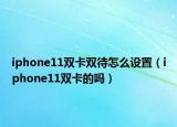 iphone11雙卡雙待怎么設置（iphone11雙卡的嗎）