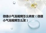 微信小氣泡視頻怎么轉(zhuǎn)發(fā)（微信小氣泡視頻怎么發(fā)）