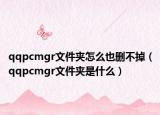 qqpcmgr文件夾怎么也刪不掉（qqpcmgr文件夾是什么）
