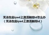 無(wú)法在此ipad上激活觸控id怎么辦（無(wú)法在此ipad上激活觸控id）