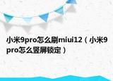小米9pro怎么刷miui12（小米9pro怎么豎屏鎖定）