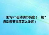 一加9pro自動調(diào)節(jié)亮度（一加7自動調(diào)節(jié)亮度怎么設(shè)置）