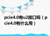 pcie4.0有u2接口嗎（pcie4.0有什么用）