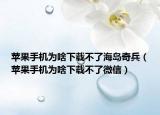 蘋果手機(jī)為啥下載不了海島奇兵（蘋果手機(jī)為啥下載不了微信）