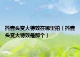 抖音頭變大特效在哪里拍（抖音頭變大特效是那個）