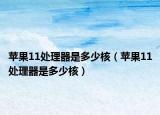 蘋果11處理器是多少核（蘋果11處理器是多少核）