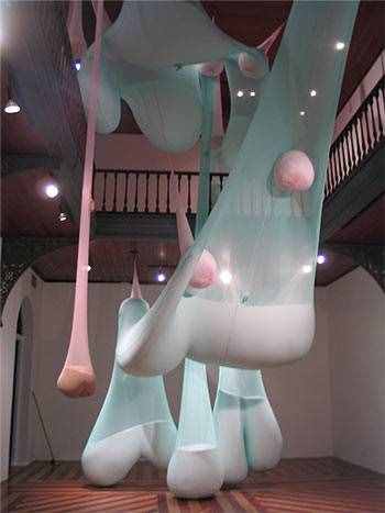軟體裝置藝術(shù)-Ernesto Neto