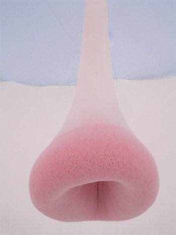 軟體裝置藝術(shù)-Ernesto Neto