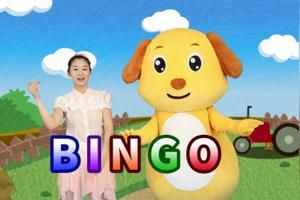 bingo是什么意思中文(bingo有幾種意思)