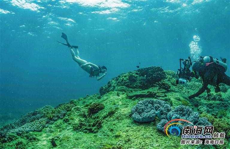 打卡海南潛水勝地：潛到海底，做一條自在的魚(yú)