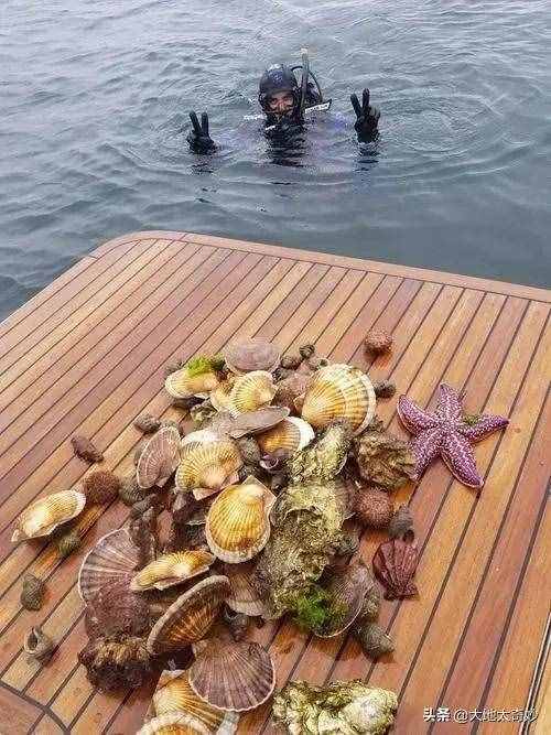 “海參崴”現(xiàn)狀，帶你看看真實的海參崴