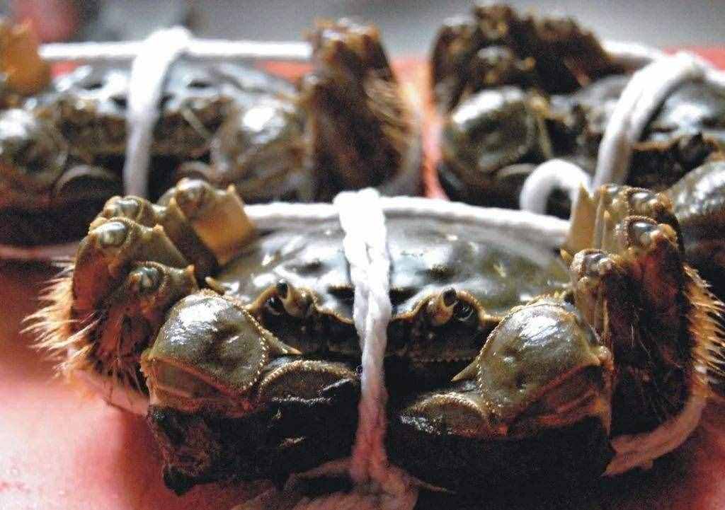 大閘蟹吃不完怎么保存?田老頭大閘蟹