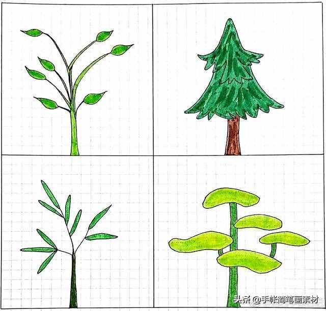 小樹簡筆畫，簡單易學(xué)