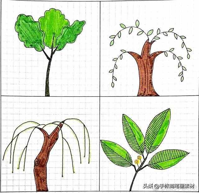 小樹簡筆畫，簡單易學(xué)