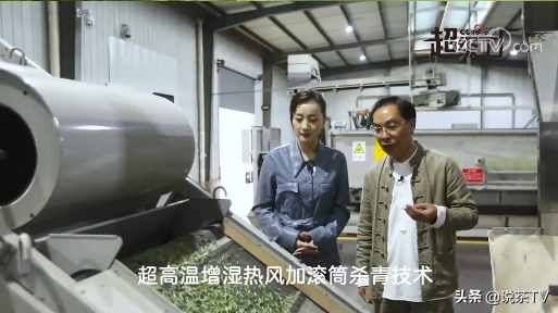 春茶季，大品牌茶企都怎么做推廣