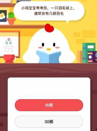 一只羽毛球上通常會有多少幾根羽毛？是16根還是30根